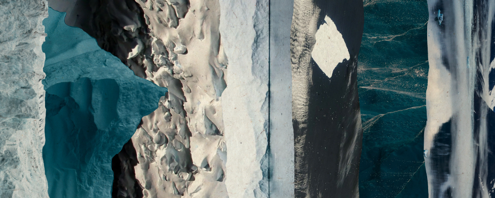 save the arctic